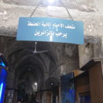 متحف الاحياء المائية بالاسكندرية 7