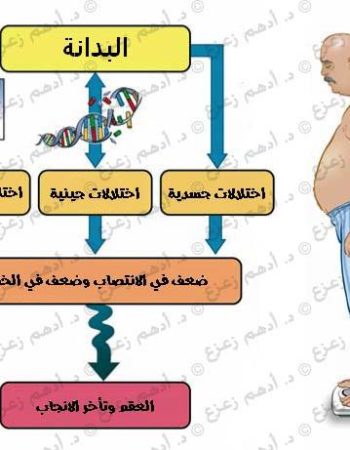 دكتور أمراض ذكورة - د.أدهم زعزع استشاري طب وجراحة أمراض الذكورة Dr Adham Zazou Andrology Doctor in Giza cairo egypt 3